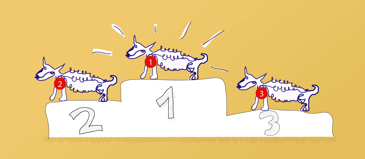 Rassehund Preisträger